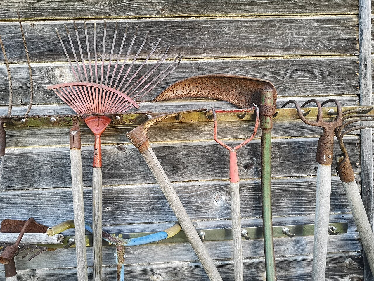 Outils de jardin à main suspendus à une paroi en bois.
